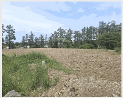  2025Ÿ��1249 ���� ���ֽ� �ؾȵ� 832       ����(��1)���