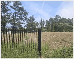  2025Ÿ��1249 ���� ���ֽ� �ؾȵ� 832       ����(��1)���