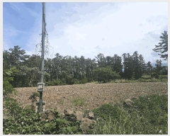  2025Ÿ��1249 ���� ���ֽ� �ؾȵ� 832       ����(��1)���