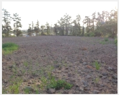  2025Ÿ��1249 ���� ���ֽ� �ؾȵ� 832       ����(��1)���