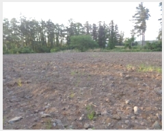  2025Ÿ��1249 ���� ���ֽ� �ؾȵ� 832       ����(��1)���