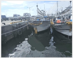  2025Ÿ��1429  ���ڰ��