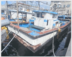  2025Ÿ��1429  ���ڰ��