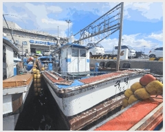  2025Ÿ��1429  ���ڰ��