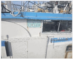  2025Ÿ��1429  ���ڰ��