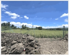  2025Ÿ��1438 ���� ���ֽ� �Ѹ��� ��븮 1611      ����(��1)���