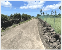  2025Ÿ��1438 ���� ���ֽ� �Ѹ��� ��븮 1611      ����(��1)���