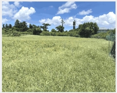  2025Ÿ��1438 ���� ���ֽ� �Ѹ��� ��븮 1611      ����(��1)���