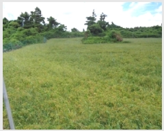  2025Ÿ��1438 ���� ���ֽ� �Ѹ��� ��븮 1611      ����(��1)���