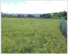  2025Ÿ��1438 ���� ���ֽ� �Ѹ��� ��븮 1611      ����(��1)���