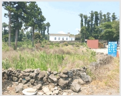  2025Ÿ��1447 ���� �������� ȸ���� 321-1       ����(��1)���