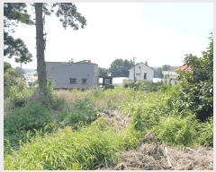  2025Ÿ��1447 ���� �������� ȸ���� 321-1       ����(��1)���