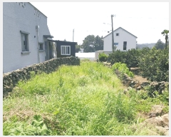  2025Ÿ��1447 ���� �������� ȸ���� 321-1       ����(��1)���