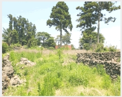  2025Ÿ��1447 ���� �������� ȸ���� 321-1       ����(��1)���