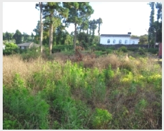  2025Ÿ��1447 ���� �������� ȸ���� 321-1       ����(��1)���