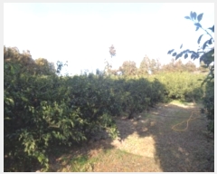  2025Ÿ6099  ֽ ֿ 󰡸 1535-1      ()