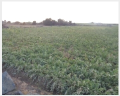  2025Ÿ��6372  �����