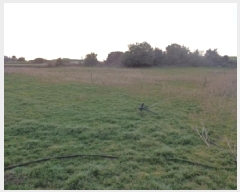  2025Ÿ��6372  �����