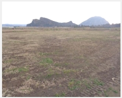  2025Ÿ��6372  �����