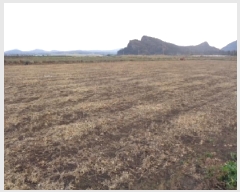  2025Ÿ��6372  �����