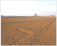  2025Ÿ��6563  �����