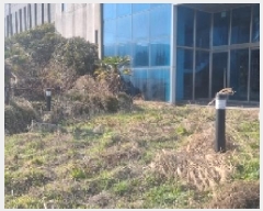  2025Ÿ��6952 ���� �������� ������ ������ 1207-1      �ٸ��ü�,�󰡰��