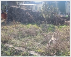  2025Ÿ��6952 ���� �������� ������ ������ 1207-1      �ٸ��ü�,�󰡰��