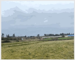  2025Ÿ��7480  �����