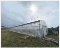  2025Ÿ��7480  �����