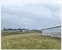  2025Ÿ��7480  �����