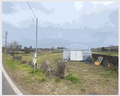  2025Ÿ��7480  �����