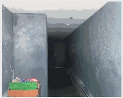  2025Ÿ7498   ͵ 637-2       ڽü,,ȣ,