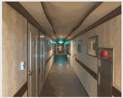  2025Ÿ7498   ͵ 637-2       ڽü,,ȣ,