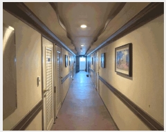  2025Ÿ7498   ͵ 637-2       ڽü,,ȣ,