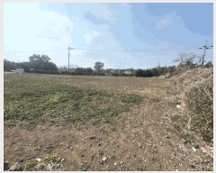  2025Ÿ��7516 ���� ���ֽ� ��õ�� �Դ��� 727-1      ���ð��