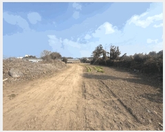  2025Ÿ��7516 ���� ���ֽ� ��õ�� �Դ��� 727-1      ���ð��