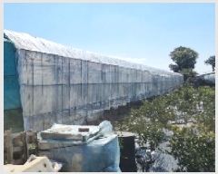  2025Ÿ7525   ȿ 786       ()