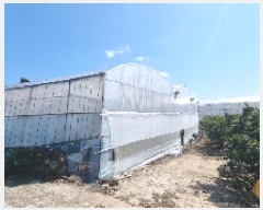  2025Ÿ7525   ȿ 786       ()