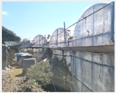  2025Ÿ7525   ȿ 786       ()