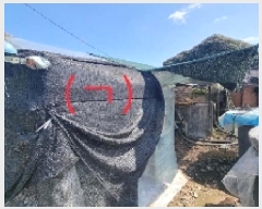  2025Ÿ7525   ȿ 786       ()