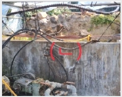  2025Ÿ7525   ȿ 786       ()