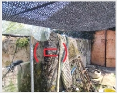  2025Ÿ7525   ȿ 786       ()