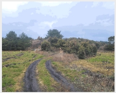  2025Ÿ��7578  ���������