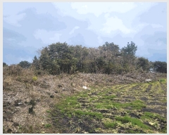  2025Ÿ��7578  ���������