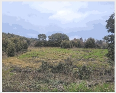  2025Ÿ��7578  ���������