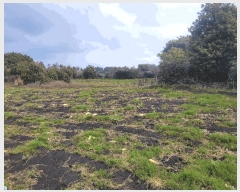  2025Ÿ��7578  ���������