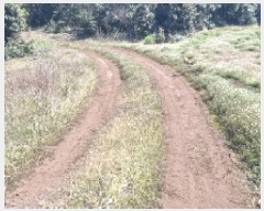  2025Ÿ��7578  ���������