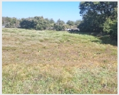  2025Ÿ��7578  ���������