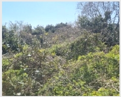  2025Ÿ��7578  ���������