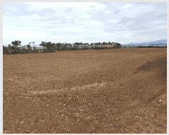  2025Ÿ7623    ŵ 2804-1      (Ӿ)